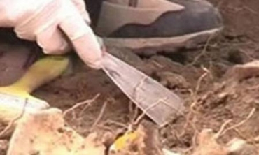 Li Parêzgeha Besreyê De Goreke Bikomî Hate Dîtin