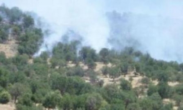 Tirkiye Careke Din Devera Sîdekan Û Quntarên Qendîlê Bordiman Kir