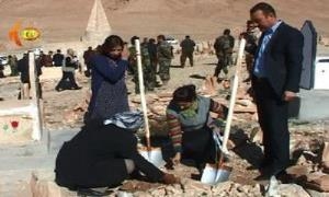 Çandina daran li Şengalê destpê kir 