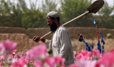 Li Afganîstanê afyon ji fêkî û şînahî zêdetir e