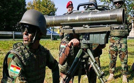 Almanya dîsa çekan ji Kurdistanê re dişîne