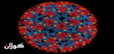 Scientists: Mosquito Virus Spreads to Americas