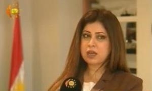 Telar Fayiq: Hîn jî geştên asmanî yên Alman û Swêdê dest pê nekirine 