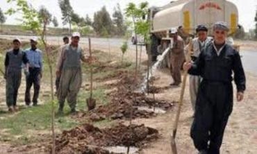 Di Roja Ji Dayik Bûna Mistefa Barzaniyê Nemir De 1 Miliyon Dar Hatin Çandin