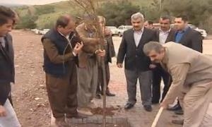 Li Akrê xelk dest bi çandina daran kir 