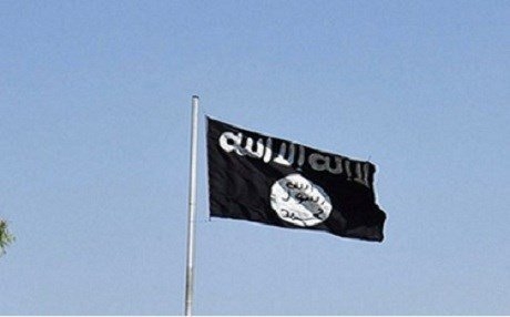 Li dijî DAIŞê operasyon: 431 girtî