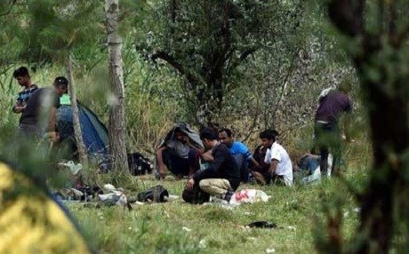 Efrîn jî tevlî şepêla koçberiyê bû