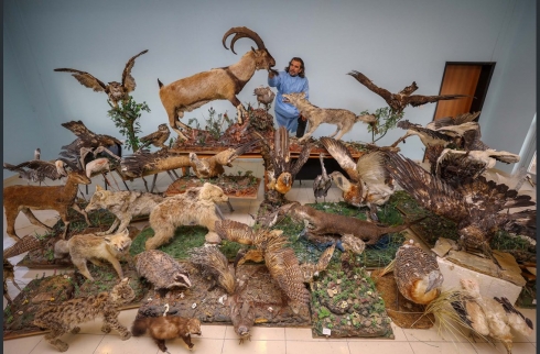 Li Wanê ajalên kovî yên di bin parastinê de ne dê di muzeyê de bên danasîn