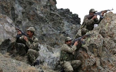 Li Bakur şer didome – Cerdevanek hat kuştin!