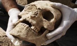 Goreke bi kom li Kerbelayê hate dîtin 