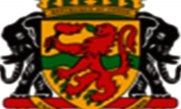 20 gokbaz di ave de fetisîn