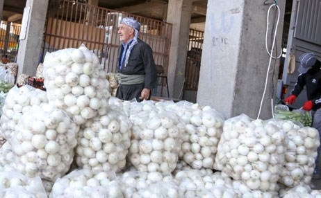 Li Kurdistanê bereketa pîvazan