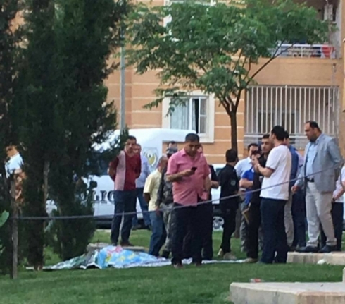 Duhok – Du malbatên Bakûrî li hev dan