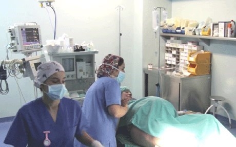 Jina 64 salî cêwî anî