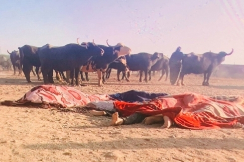 DAIŞê 6 gavan qetil kirin