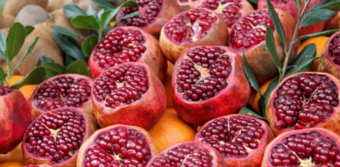 Sudên qalikê hinaran çine?