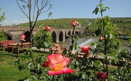 Amed dixwaze xelata 'oscarê' ya geştyariyê werbigre