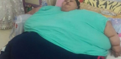 Jina Misrî ya 500 kîloyî ji bo emeliyatê diçe Hindîstanê