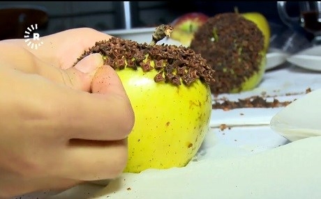 SÊVA MÎXEKRÊJ - Li Kurdistanê sembola evîndariyê