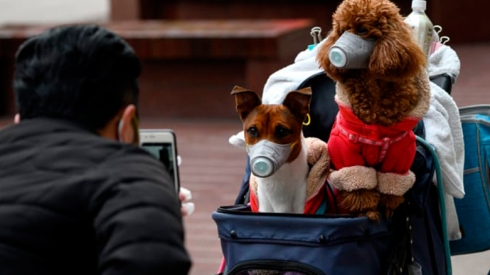Tenduristîya Cîhanî: Renge ajelên malî koronayê bo xwedîyên xwe veguhêzin