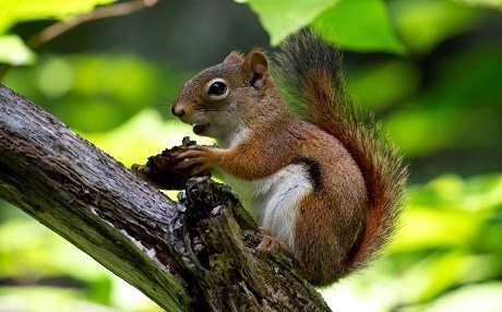 Li Sakarya kesekî xwest sîvorî bikuje, lê ew mir