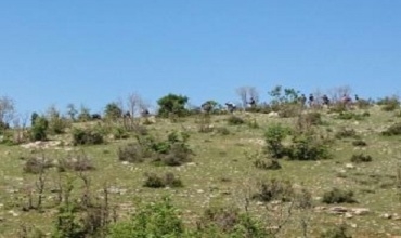 Li navçeya Licê 2 leşkerên Tirkiyê hatin revandin