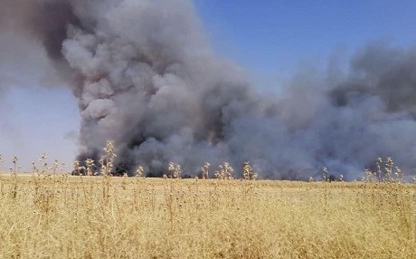 ROJAVA – Di 3 rojan de bi deh hezaran donim zeviyên çandiniyê şewitîn