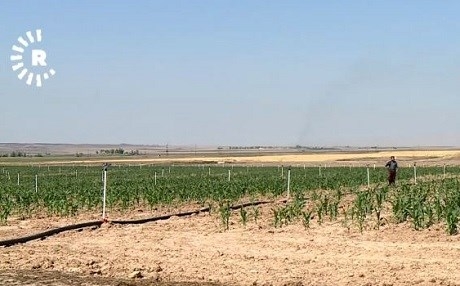 Rakan Cuburî 125 malbatên Erebên hawirde li gundên kurdan bicih dike