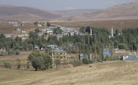 Li Erziromê ciwanek ji ber ‘belavkirina wêne’ hat kuştin