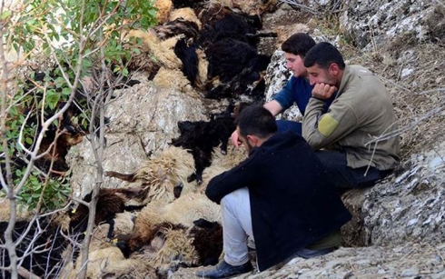 315 pezan xwe ji kendal avêtin mirar bûn