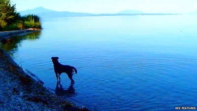 Goodbye to Language wins US critics' best film prize