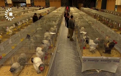 Li festîvala balindeyan ‘Gula Çiya’ bû şampiyon