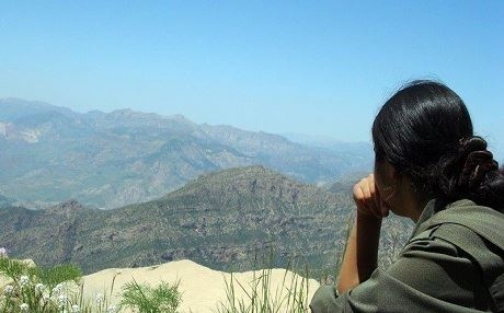 Ocalan: Ji bo gerîla li çiya nemînin divê destûr bê guhartin