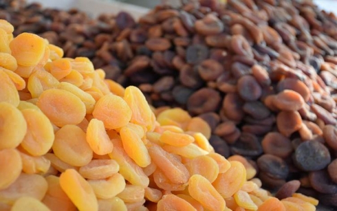 MELETÎ – Hedefa di mişmişê hişkirî de hinardekirina 500 milyon dolar e