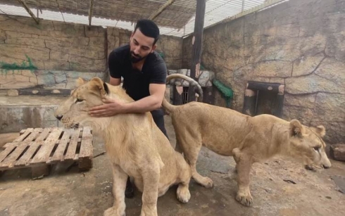 Bîlal Sehmî li Duhokê 13 sal e şêran xwedî dike