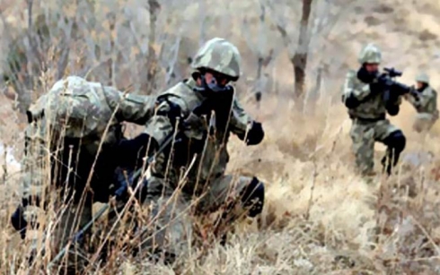 Leşkerên Tirkiyê hejmareke gundên Licê dorpêç kirin