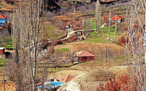 Cureya nû ya Coronayê gihîşt Bakurê Kurdistanê
