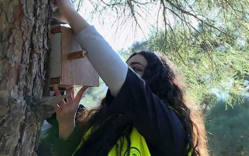 Li Duhokê grûpeke jîngeparêz hêlînan ji bo balindeyan datînin daristanan