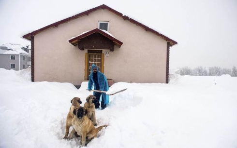 Li Bakurê Kurdistanê berfê bandoreke neyînî li jiyana xelkê kir