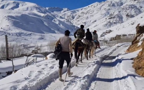 Ev 5 roj in 5 kolber di bin reniya berfê de mane