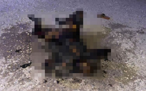 Li Rihayê termê jineke şewitî hat dîtin