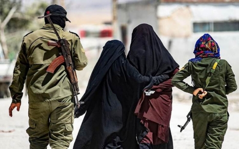 Li nav Kampa Holê operasyoneke berfireh hat destpêkirin