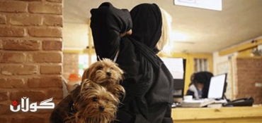 Who let the dogs out? Walking a pooch in Iran is ‘symbol of resistance’