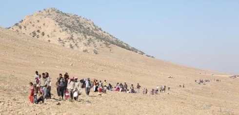 NY: Nîjadkujî li Kurdên Êzidî hatiye kirin