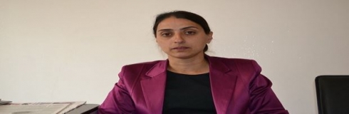 Feleknas Uca: Artêşa Tirkiyeyê 150 kes bi zindî şewtandiye