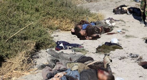 Li Hesekê çend terorîst hatin kuştin