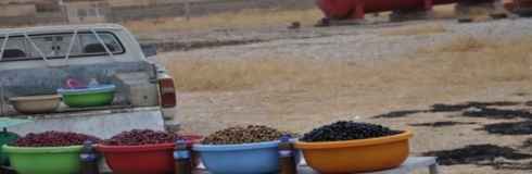 Li Başîkê jiyan vegeriya ser rewşa xwe ya normal