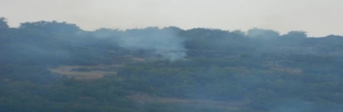 artêşa Tirkiyeyê agir berda bax û baxçeyên Efrîniyan
