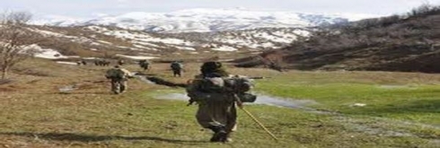 Rewşa Xênêre û Lolanê arame