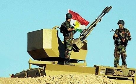 Du “pêşmergeyên swêdî” li Kurdistanê şerê DAIŞê dikin